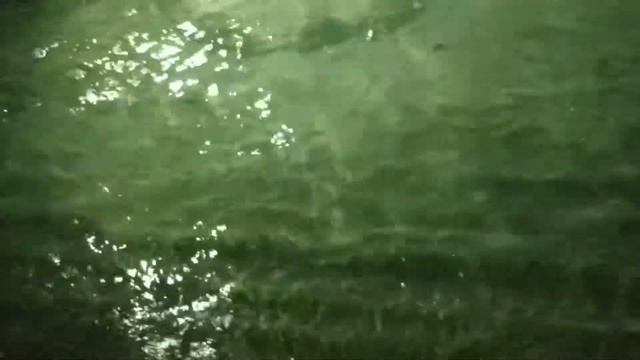 мальдивы маленькие акулы смотреть онлайн