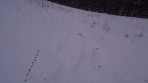 Вепрь 308 ствол 520 мм/Отстрел биметаллической пулей 10,3 грамма