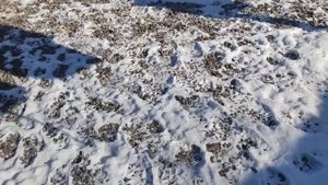 замена фильтров гидравлики львовский погрузчик.