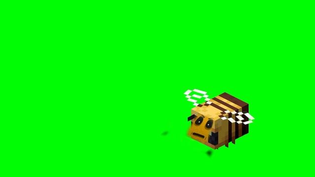 пп