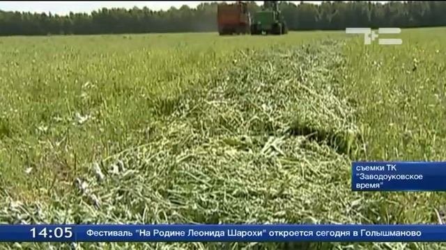 Заводоуковские животноводы приступили к заготовке кормов