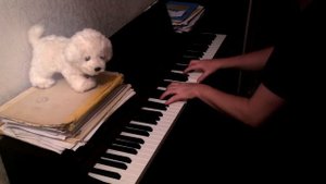 Мелодия из фильма "Любимая женщина механика Гаврилова"