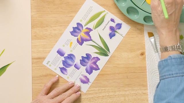 Learn to Paint an Iris - FolkArt One Stroke A-Z of Floral Painting