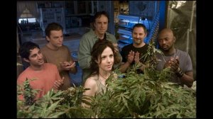 Дурман - отравление планом,  трезвость мышления не получишь даром