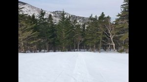 Природа острова Кунашир. Южные Курилы