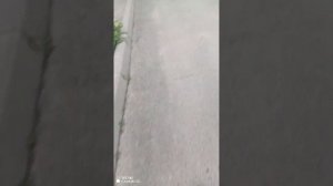 Тест универсальных ключей УНДМК, комплект ук8 (2 часть)