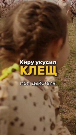 Укусил клещ. Клещи. Что делать?