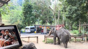 Рафтинг и катание на слонах в Пхукете | Экскурсия в Пхукете | Таиланд