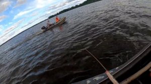 Ловим судака на дорожки