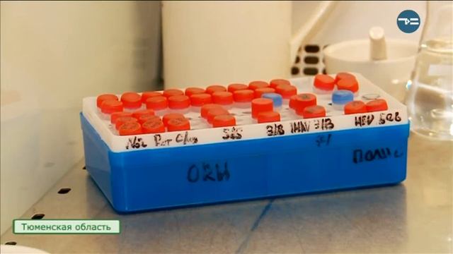 Сельская Среда 17.04.19 смотреть онлайн