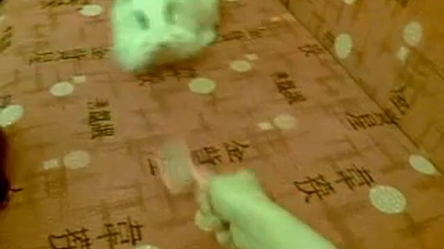 Пуговка Играет.mp4 смотреть онлайн