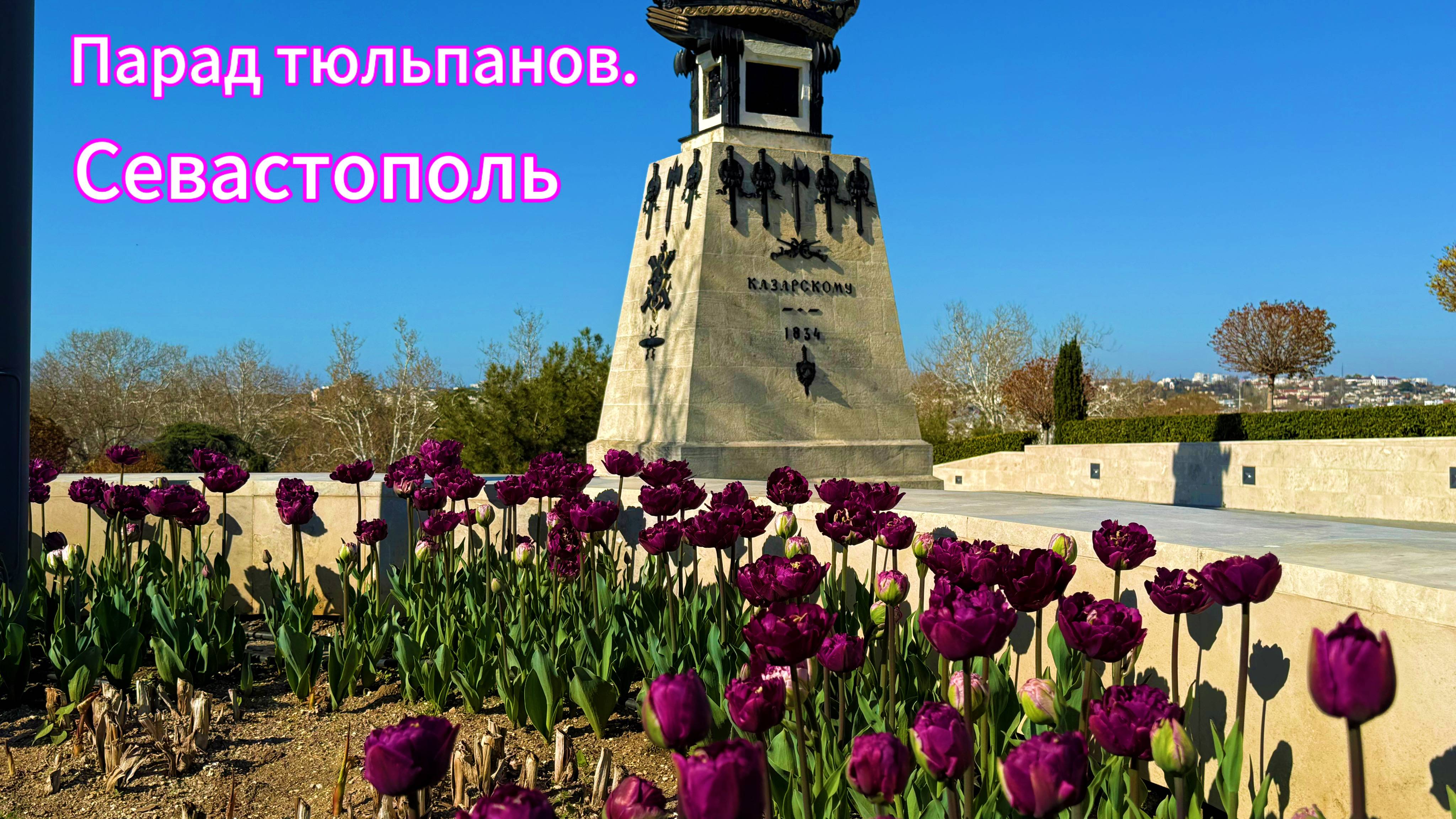 Парад Тюльпанов за который не нужно платить. Севастополь