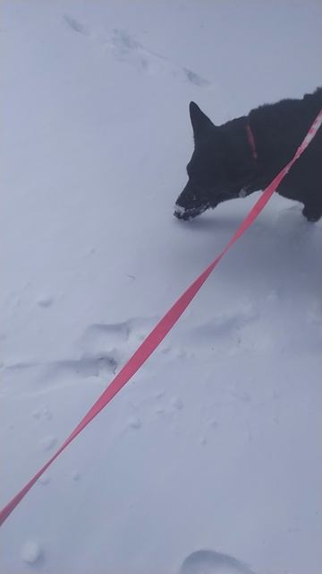 VID_20250419_103801.mp4 смотреть онлайн