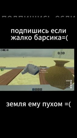 подпишись если жалко барсика....