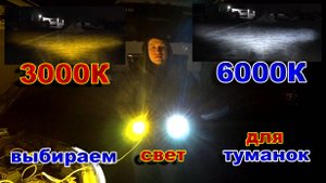 Выбираем Лучший Свет для Туманок