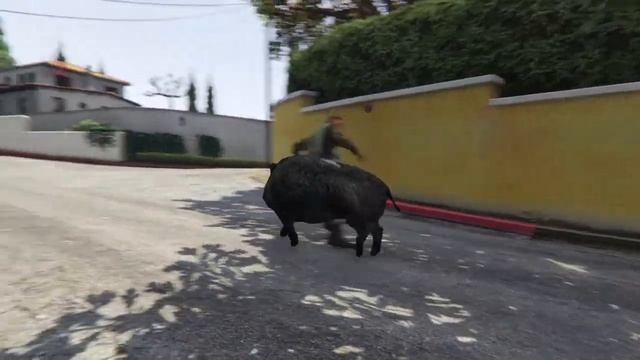 Grand Theft Auto V - Peyote Pill - Wild Boar