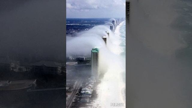 На коленях стоял очень старый монах смотреть онлайн