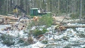 скиддер в работе