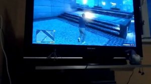 Чтит коды на GTA 5 на Xbox 360