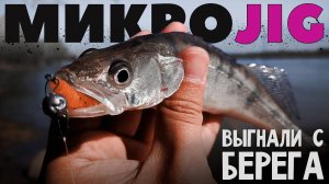 Обещали штраф за рыбалку в этом месте ► МИКРОДЖИГ