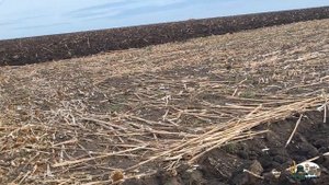 Кировец К-701 с плугом ПЛН 8-35!Скоростная неглубокая вспашка!