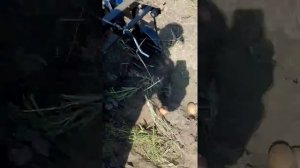 Уборка картофеля мототрактором 2018