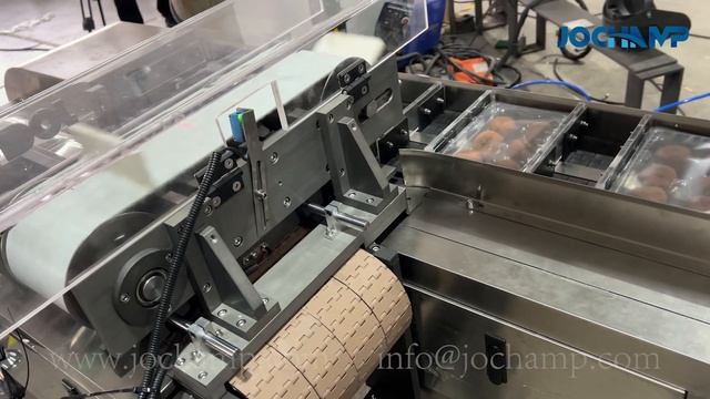 End-of-Line Food Blister and Tray Sealing Carton Packaging Machine
