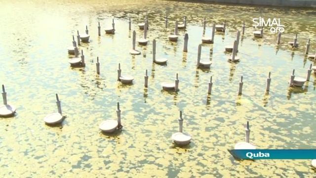 Şimal regionundakı parklarda fəvvarələr niyə işləmir?- ARB Şimal смотреть онлайн