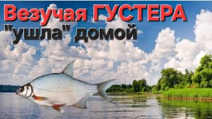🔥Юная ГУСТЕРА🔥 ушла Домой, в Волгу!!! Рыбалка в Астрахани! Апрель!!!