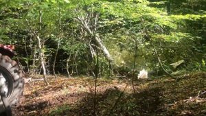 Трактор МТЗ 82 Против Трактор ЛТЗ 60 | В Лесу