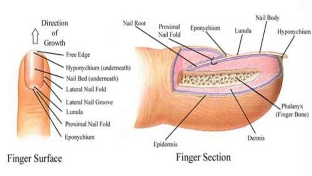 ALL I NEED TO KNOW смотреть онлайн