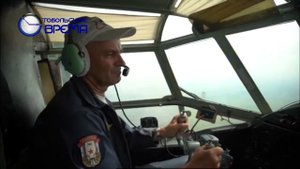 лесные пожары