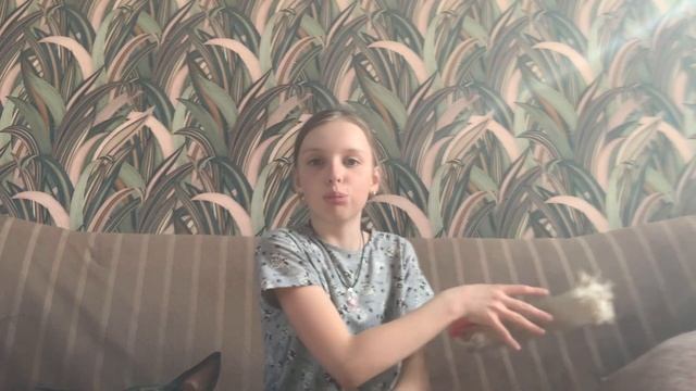 Об игрушках для собак 💞#dog #сабаки смотреть онлайн