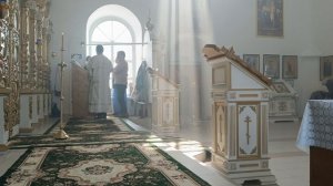 Днесь висит на древе Трубачев