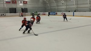 гепарды Марьино 17