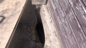 При уборке УЧАСТКА  провалился ногой в РАСЩЕЛИНУ в земле.