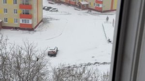 Рассада табака и снег
