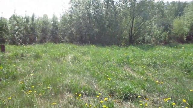 Нелюбино Пруд зарос смотреть онлайн