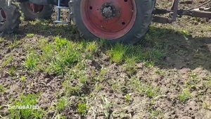 ❌Дисковка целины БДТ-3💩 трактором МТЗ 82🚜❌Работа чистиков на БДТ💯