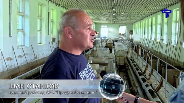 Як та за яких умов вирощують рибу в АРК "Придунайська нива"