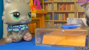 LPS: ТОЛСТАЯ КРАСАВИЦА 34 серия