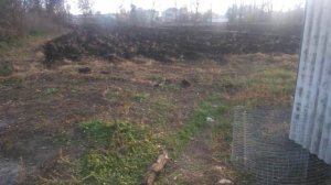 Вспашка огорода трактором  МТЗ 80