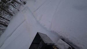 Таёжная жизнь в тайге #наприродевкоми