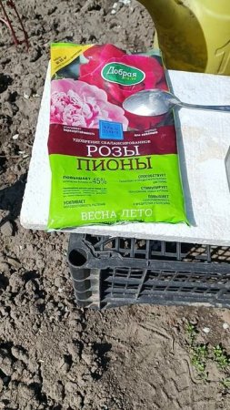 Новые удобрения для пионов и роз. Витамины для пионов. Пионы на даче...