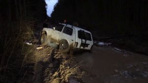 Нива на бездорожье