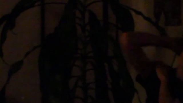 Improv no. 2 (Aleta/Auklerg) смотреть онлайн