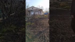 Обработка сада от комплекса болезней и вредителей.
