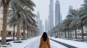 Дубак в Дубае