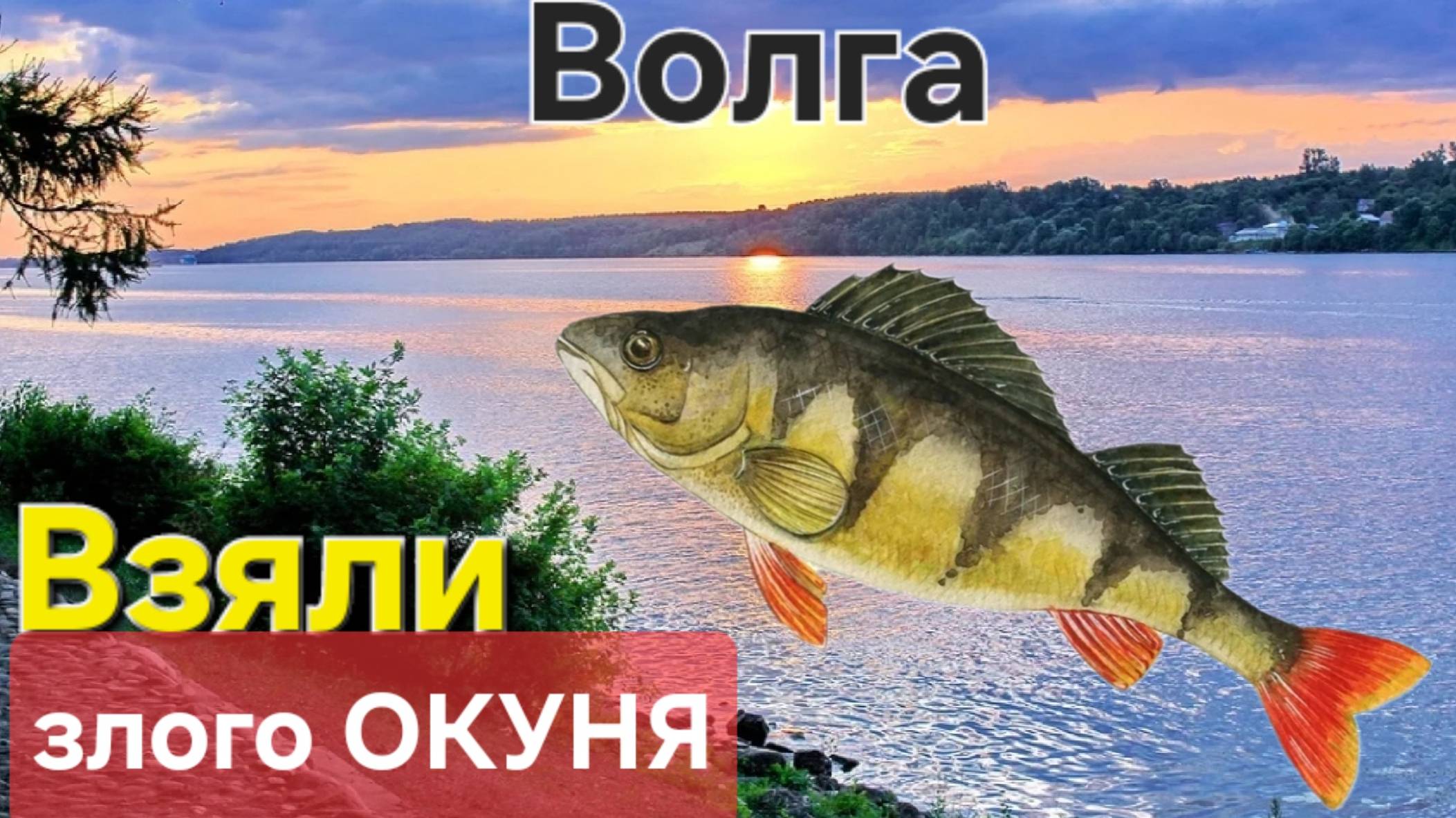 🔥Поймали ОКУНЯ🔥 хитрого и злого на Волге🐟!!! Рыбалка в Астрахани!! Диалоги о Рыбалке !!!
