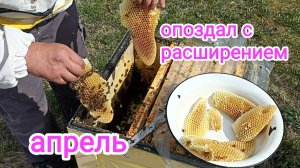 Пора расширять пчёл вощиной! Пчеловодство!